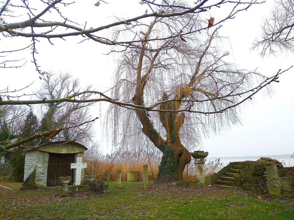 Die Tempeltreppe auf Nagels Grundstück am Arendsee soll mit dem historischen Bauwerk bestückt werden, um mit Weide, Phallussäulen, Harmoniumhäuschen und Kreuz ein Ensemble zu bilden.