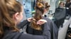 Eine Friseurmeisterin schneidet in einem Salon einer Kundin die Haare.