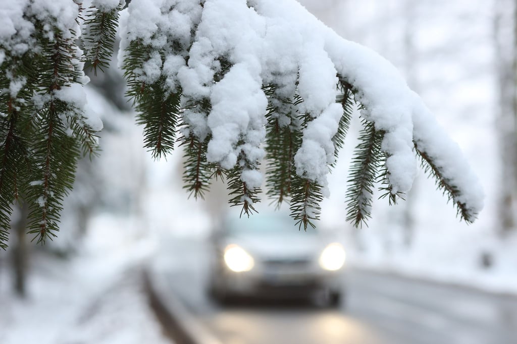 Ein Auto fährt hinter einem schneebedeckten Zweig über die Straße.