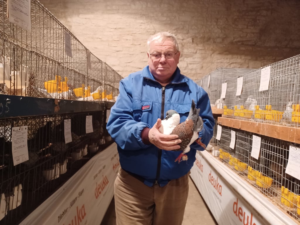 Ausstellungsleiter Erhard Apitz mit einer Modena Gazzi.