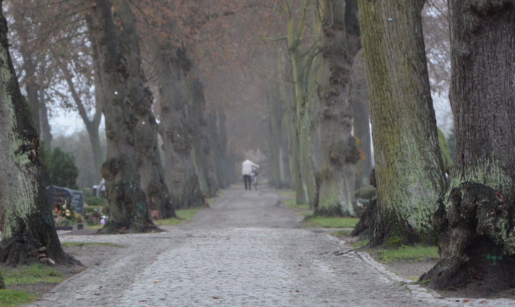 Der Friedhof in Osterburg befindet sich mitten in einem Wandel. Die Kirchengemeinde möchte ihn „ins Leben holen“.