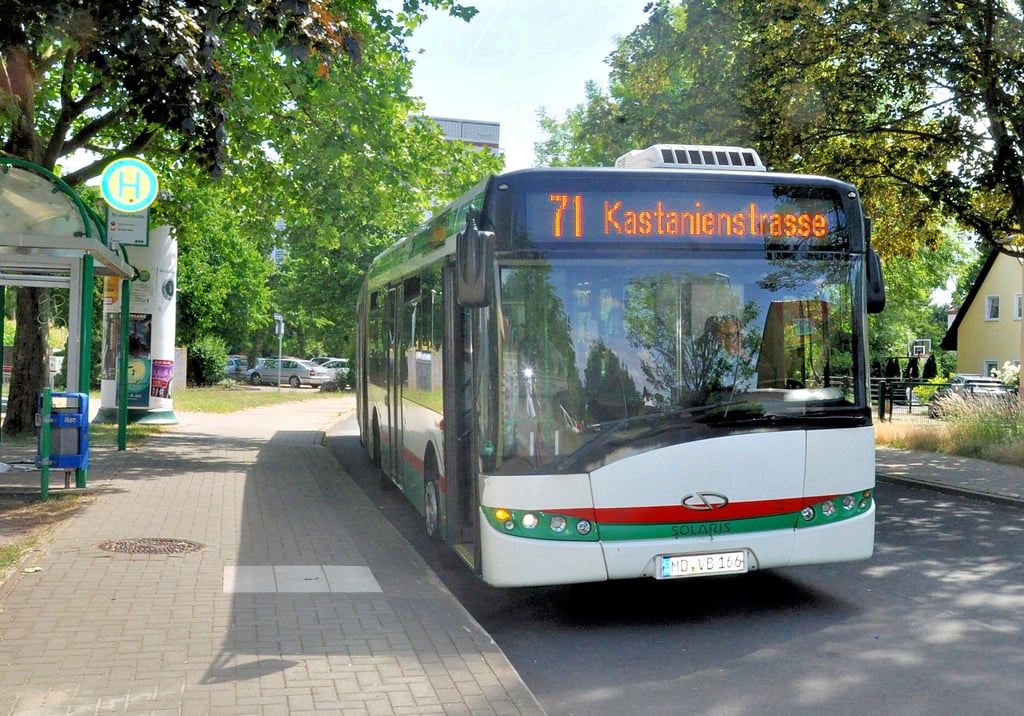 Bei der Stadt Magdeburg gab es Anträge zur Verstärkung der Buslinie 71,  die Schüler zum Albert-Einstein-Gymnasium fährt. Aufgrund der Vollsperrung am Holzweg entfällt dort eine nahgelegene Haltestelle.
