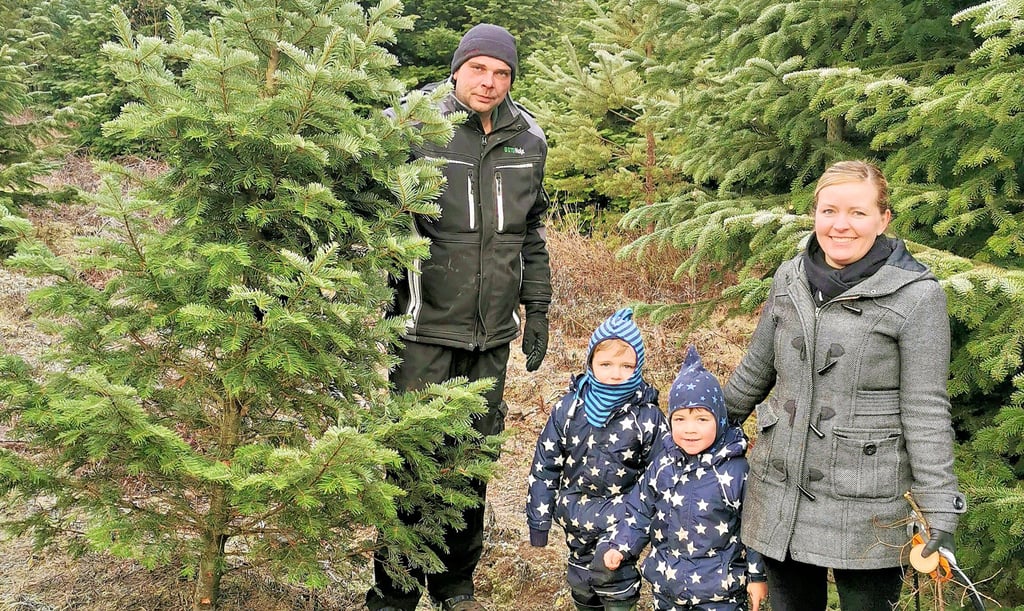 Stefan Schwarz war mit seiner Frau Viktoria und den Kindern Lasse und Malte (2. von links)zum Baumschlagen zur Jagdhütte Döllnitz gekommen. Die Familie entschied sich gegen den Trend und kaufte eine Küstentanne.