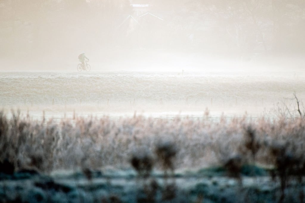 Ein Radfahrer ist bei dichtem Nebel auf einem Deich unterwegs.