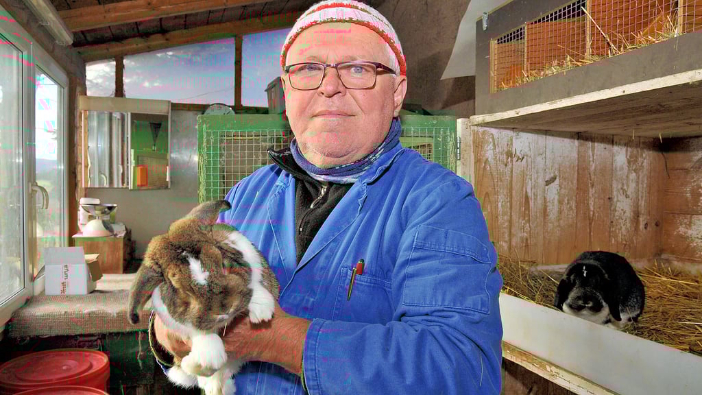 Dieser Rammler ist ein wahrer Methusalem. Albrecht Tröster hat den Widder, der 2017 geboren wurde, bei der Europaschau in Dänemark gekauft.  