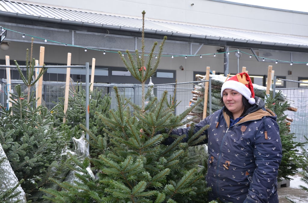 Sina Biesewinkel verkauft in diesem Jahr Weihnachtsbäume am Hansecenter in Gardelegen.
