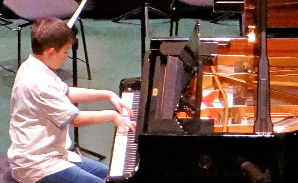 Thomas Udagawa von der Kreismusikschule Harz musizierte während des Konzertes für die Spender auf dem Steinway-Flügel.