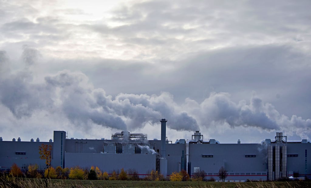 Die Emissionen der Papierfabrik in Sandersdorf, die aus Sicht von Anwohnern zu den üblen Geruchsbelästigungen führen, werden weiter kritisiert.