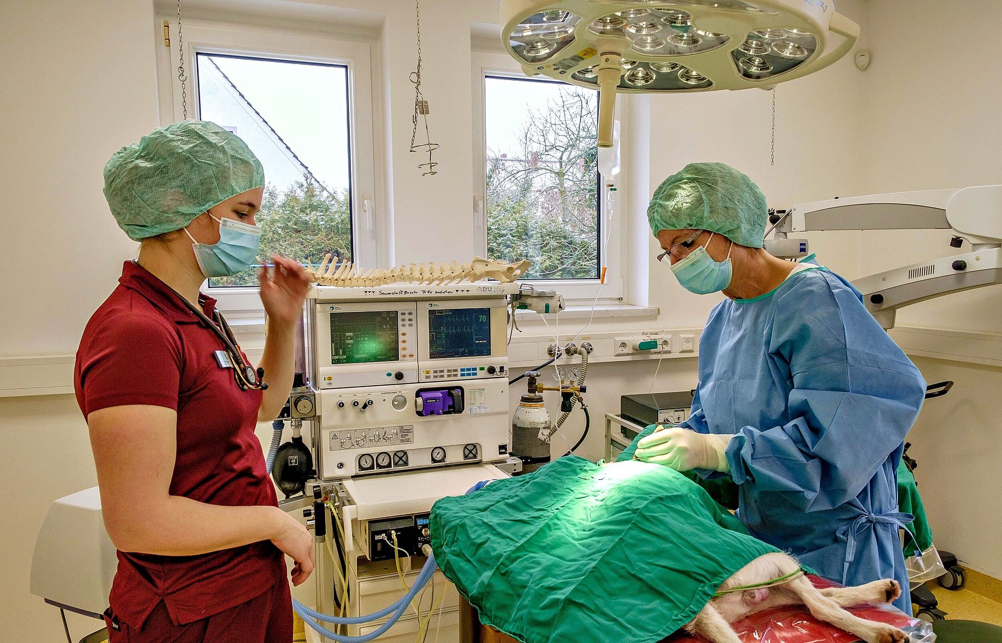 Arbeiten an den Feiertagen Im Einsatz in der Tagestierklinik Wittenberg