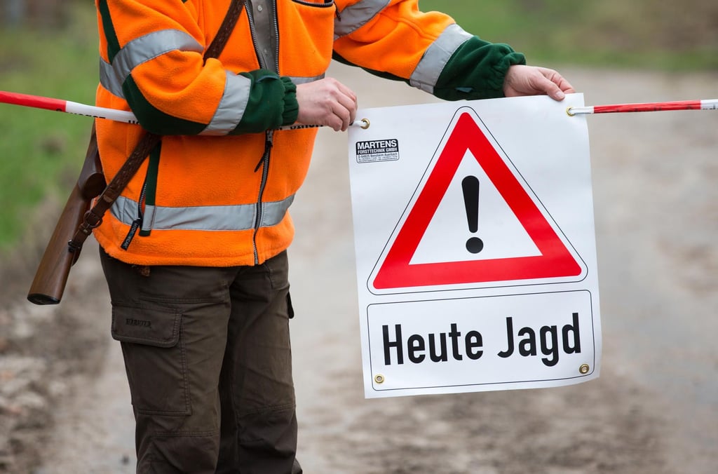Bei den Drückjagden wurde in der Dübener Heide das Tempo für Autofahrer reduziert.
