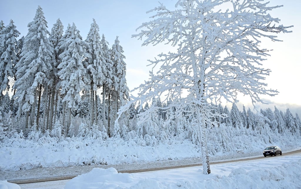 Der Thüringer Wald in Oberhof trägt ein Winterkleid aus Schnee.