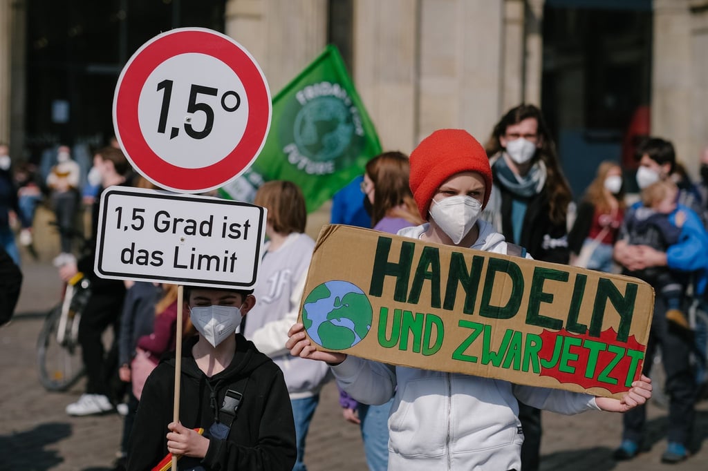 Eine Demonstration der Bewegung „Fridays for Future“ in Hannover.