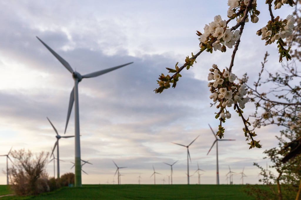 Blick auf den Windpark Stößen-Teuchern: Hier haben Diebe im Februar 2022 in drei Fällen bei Windrädern Kupfer gestohlen.