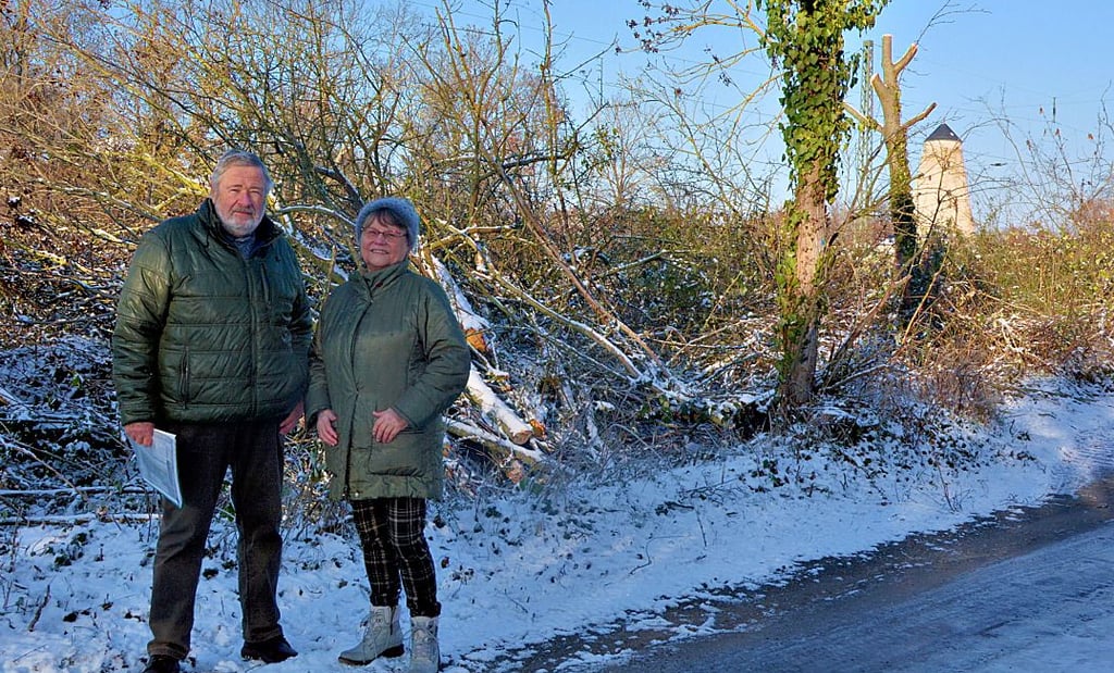 Gabriele und Peter Pflanz bedauern, dass am Kunstanger in Schönebeck so drastisch mit der Vegetation umgegangen wird. Auch junge und vitale Bäume wurden gefällt.