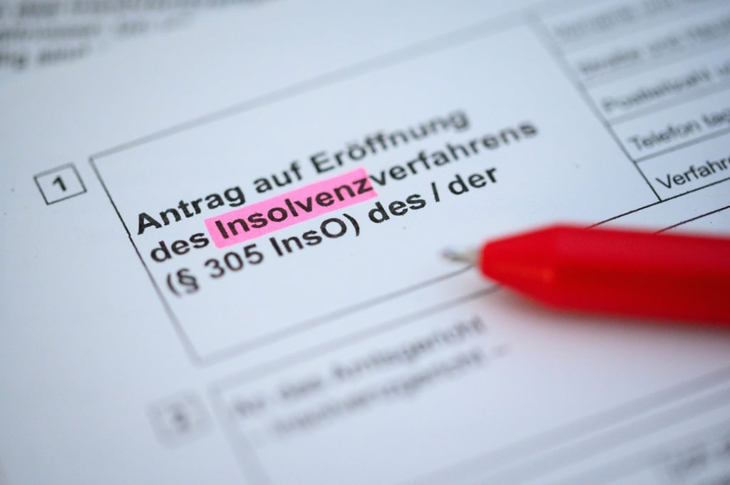 Ein Kugelschreiber liegt auf einem Antrag zur Eröffnung eines Insolvenzverfahrens.