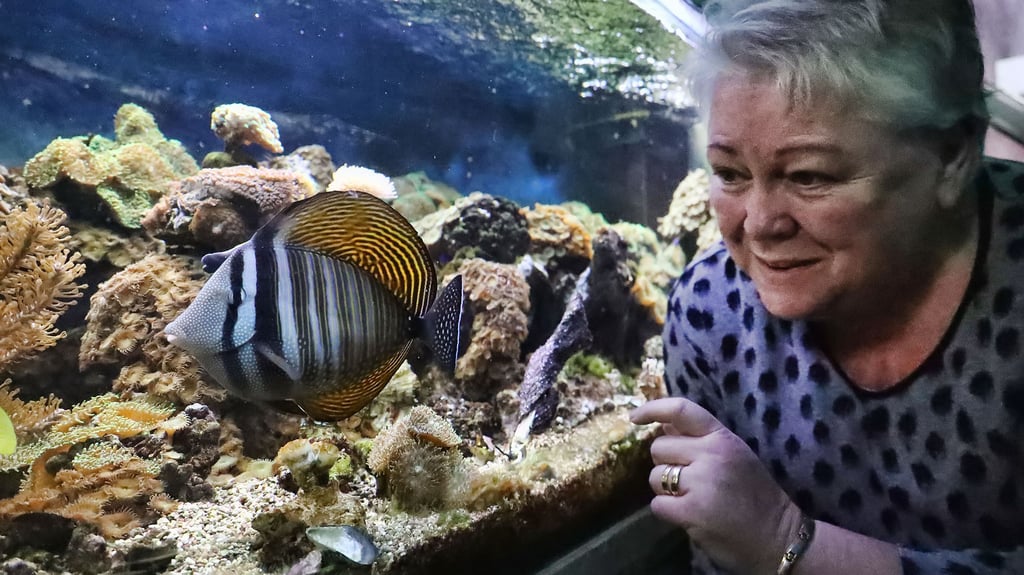 Magdalena Schagen hat all ihren Fischen Namen gegeben. Der große braun-gestreifte Segelflossen-Doktorfisch heißt Felix.
