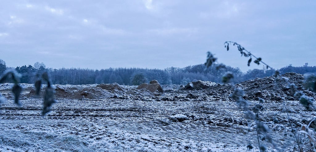 Zwischen Haldensleben und Bülstringen entsteht ein neues Biotop. Grund dafür ist eine Baumaßnahme am Mittellandkanal, die dadurch ausgeglichen werden soll. Bisher sieht es dort eher nach Großbaustelle aus. Doch für den geplanten Teich muss eben viel gegraben werden.
