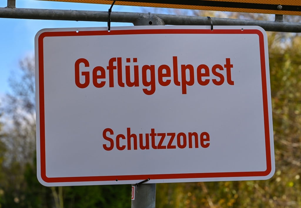 Ein Schild mit der Aufschrift „Geflügelpest Schutzzone“.