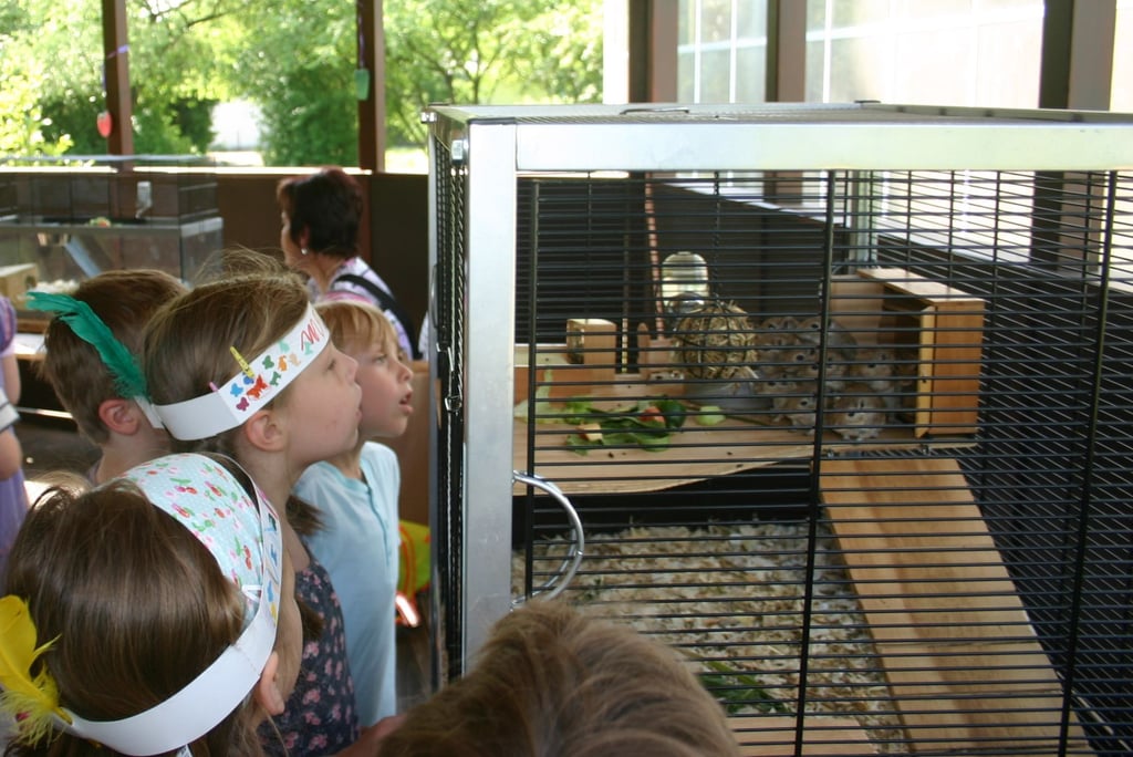 Die Zooschule Magdeburg befindet sich derzeit noch im Schulumweltzentrum.