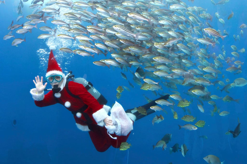 Scheinbar hat der Weihnachtsmann auch ausgefallene Hobbys. Diese dürften in diesen Tagen allerdings ruhen, denn es gilt sich für das Weihnachtsfest vorzubereiten.