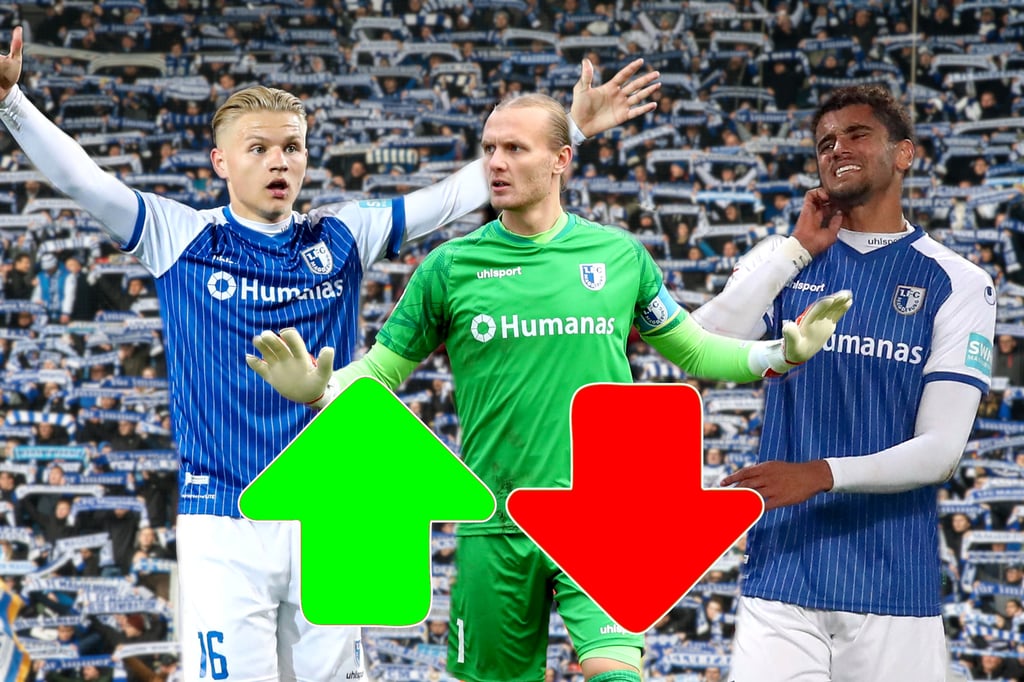 Neueste Anpassung: Die größten Marktwertgewinner und -verlierer beim 1. FC Magdeburg.