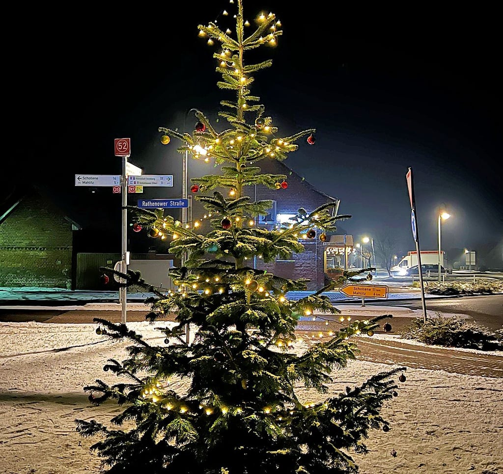 Dieser gepflanzte Weihnachtsbaum steht seit kurzem auf der Wiese neben dem Kreisverkehr in Klietz.