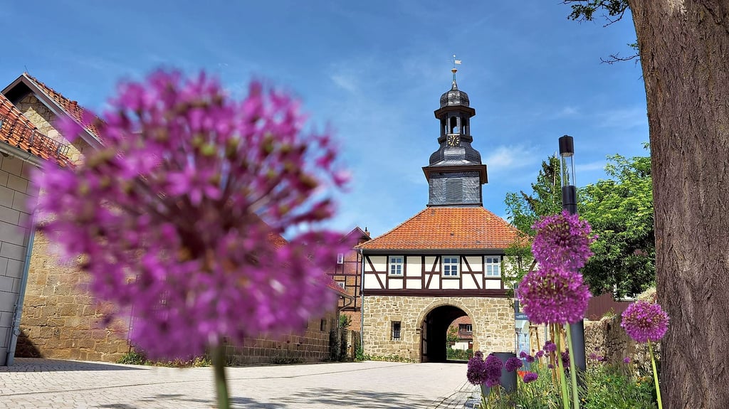 Kultur im Harz Finanzierung fürs Kloster Michaelstein in Blankenburg