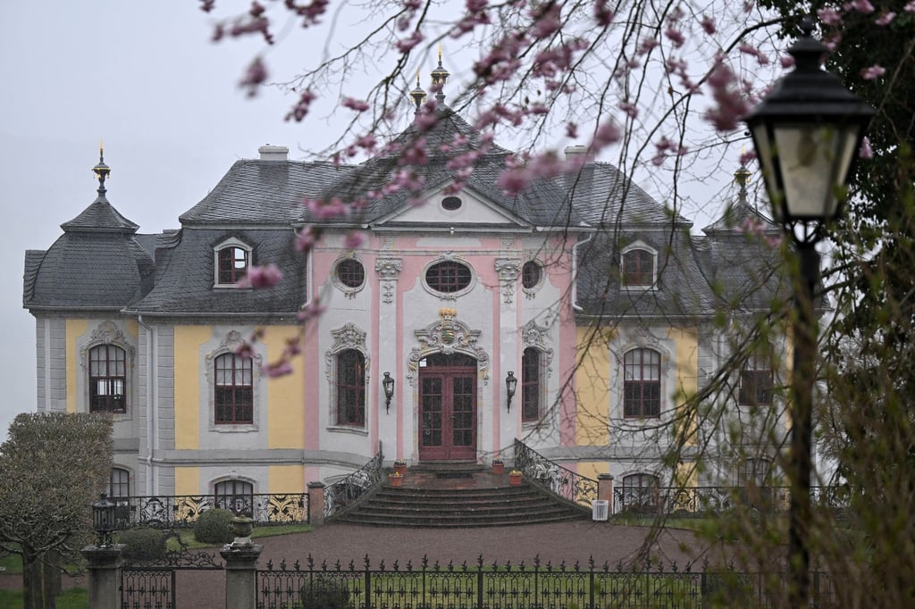 Ein Baum blüht vor dem Rokokoschloss.
