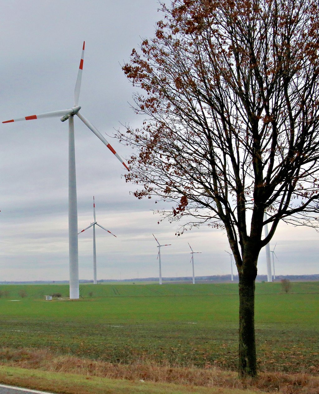 Gegen den Ausbau des Windparks sprach sich der Stadtrat Könnern aus.