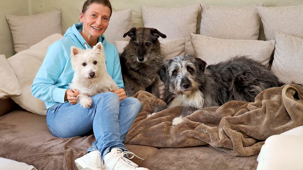 Gemeinsames Gruppenbild auf dem Sofa - Katja Walther mit ihren Hunden Lizzy, Fee und Yara (v.l.).