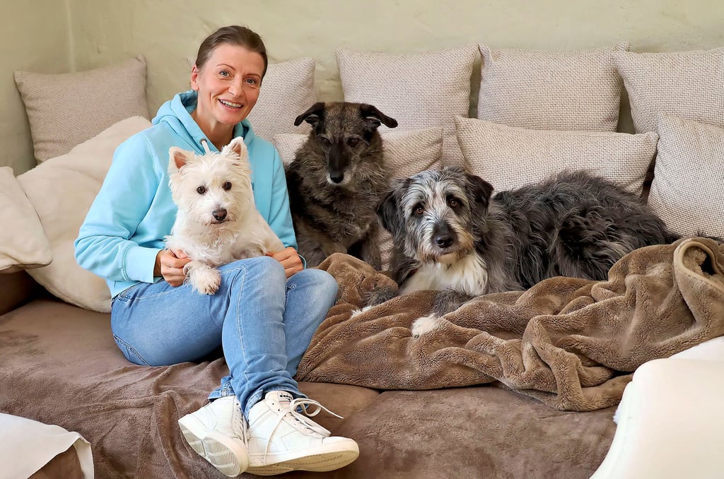 Gemeinsames Gruppenbild auf dem Sofa - Katja Walther mit ihren Hunden Lizzy, Fee und Yara (v.l.).