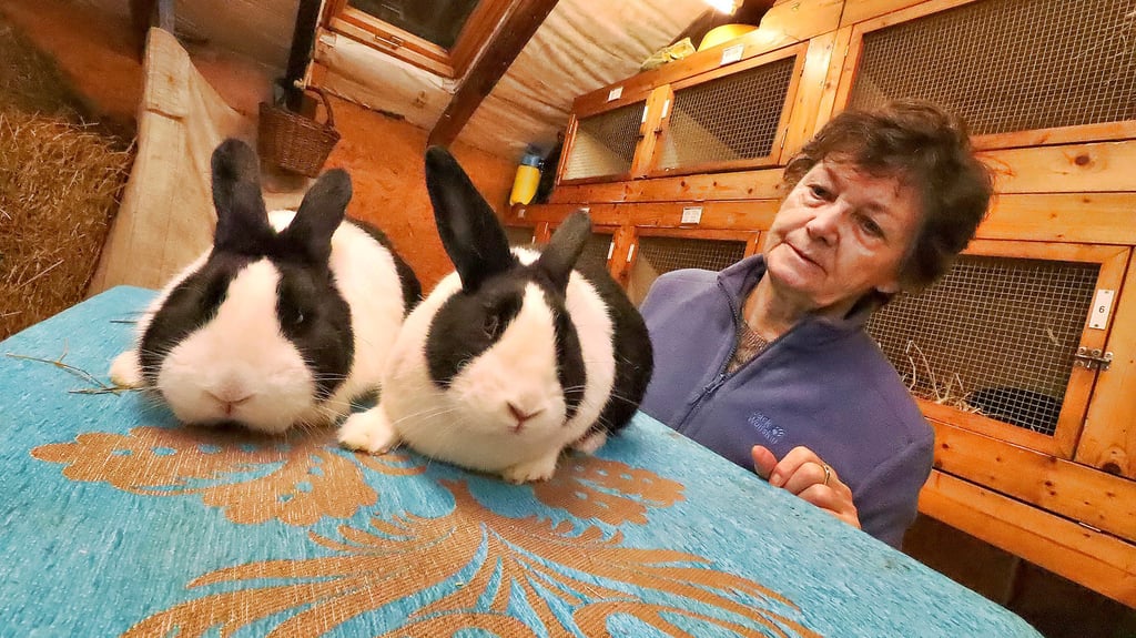 Jutta Kühne freut sich jeden Tag über ihre Kaninchen. Manches von ihnen entwickelt beim Posieren echte Model-Eigenschaften. 
