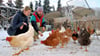 Auf Du und Du mit ihren Tieren. Kim Ehrenberg und  Mathias Maaz  entspannen, wenn sie ihre Hühner beobachten.     