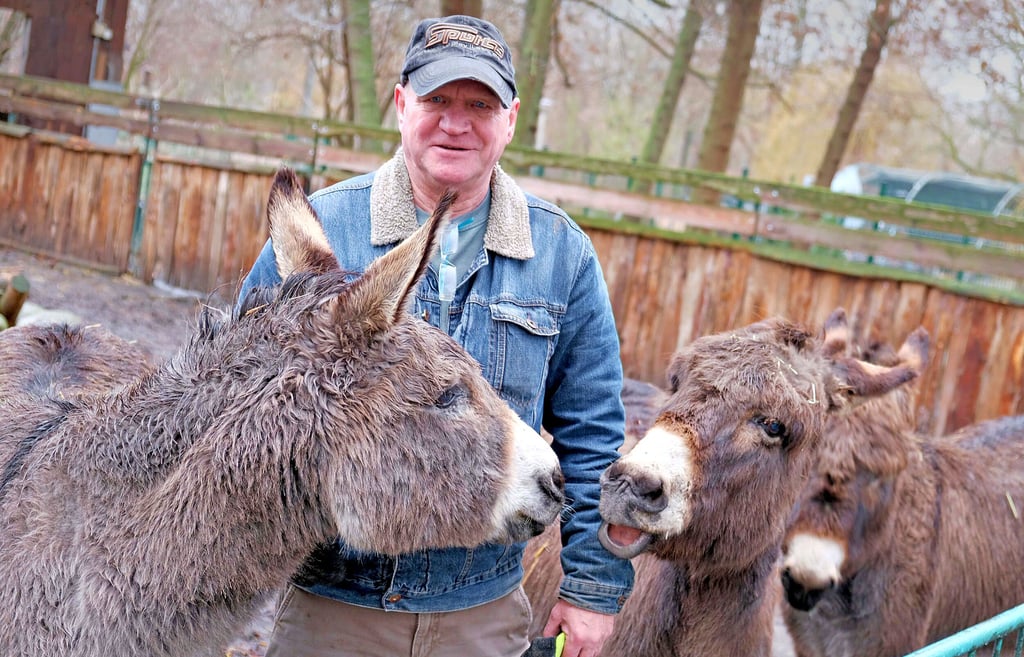 Auch große Tiere brauchen manchmal einen Arzt, der berechnet nun mehr: Die Kosten werden im Bitterfelder Tiergehege auch über Patenschaften finanziert: Esel Nicolaus (l.) sucht übrigens noch einen Paten, das verrät Pfleger Lutz Handloik.