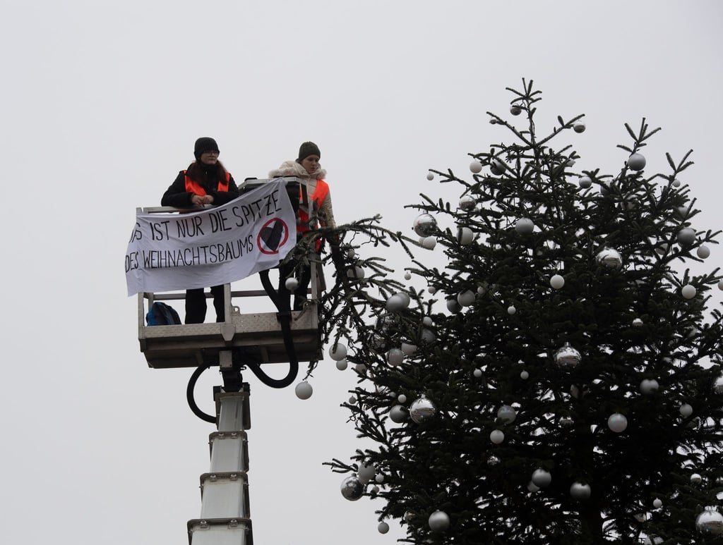 Ohne Spitze: Der Weihnachtsbaum vor dem Brandenburger Tor.