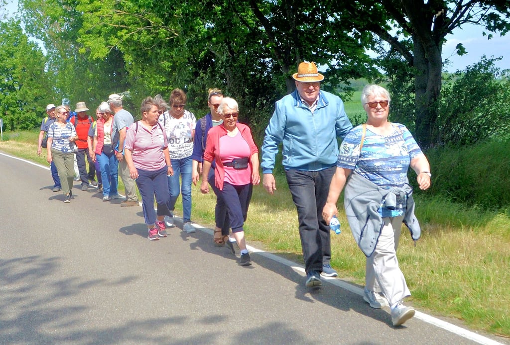Im Gänsemarsch in die Natur: Die zwei Wandergruppen des TSV machen einen gemeinsamen Ausflug zum Floßgraben bei Kötzschau.
