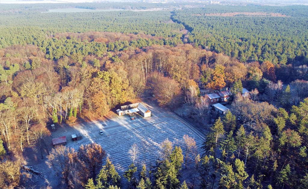 Ein riesiges Waldgebiet zieht sich entlang der B 189 bei Seehausen hin. Der ehemalige Märchenwald (einst ein Fichtenbestand) am Jagdzentrum Barsberge spielt mit knapp 2000 Quadratmetern flächenmäßig eine untergeordnete Rolle im Stadtforst. Trotzdem rückt die Aufforstung des Flurstückes in den Fokus der Öffentlichkeit.
