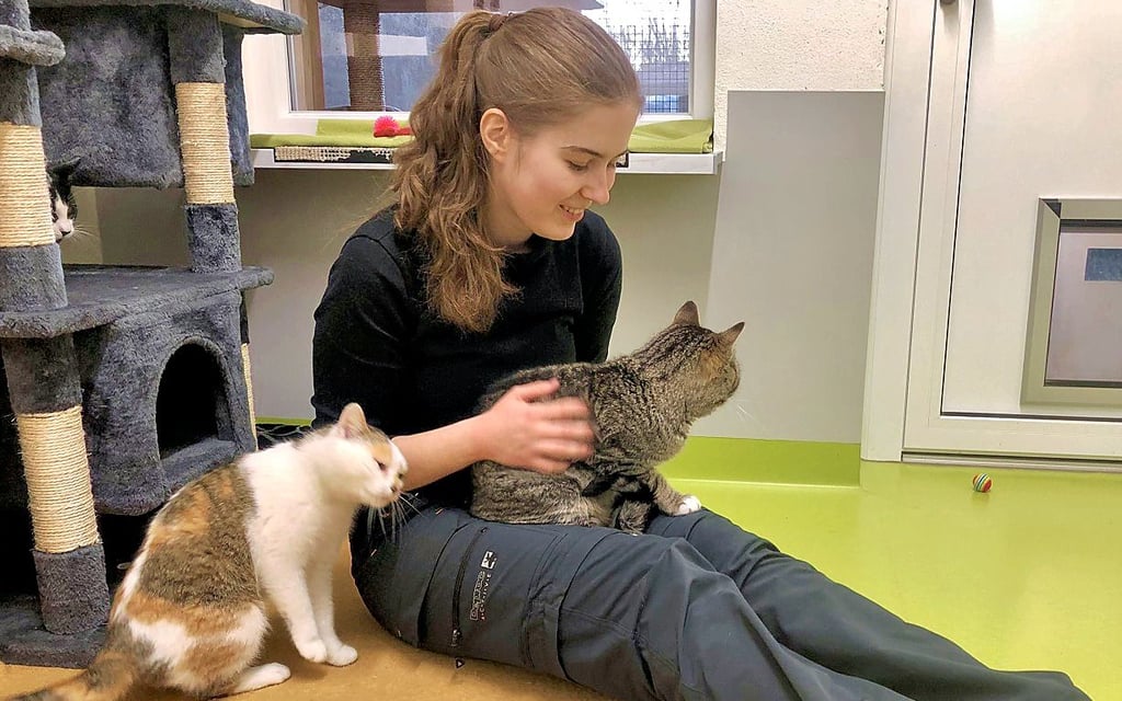 FÖJlerin Anne Preibisch nimmt sich Zeit zum Kuscheln.