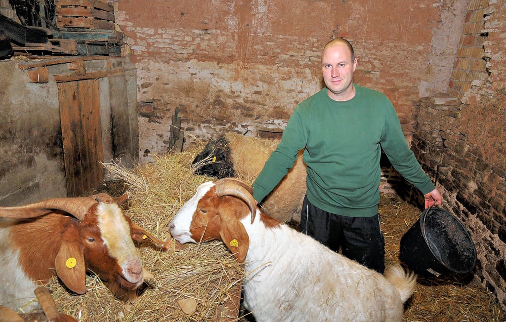Philipp Jahnel aus Dittichenrode im Stall mit Burenziegen und Rhönschafen.