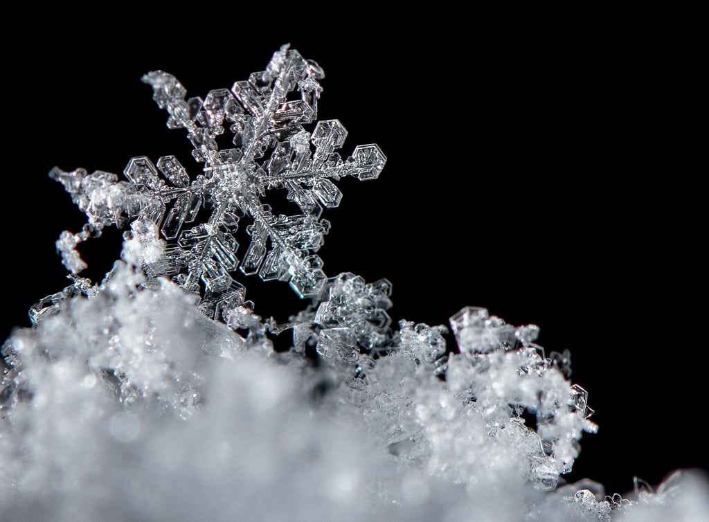 Winzige Wasserteilchen und Staubkörner spielen die entscheidenden Rollen, wenn es um die Entstehung von Schneeflocken geht.