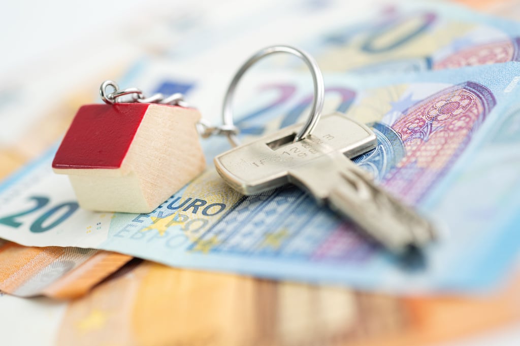 Wer innerhalb bestimmter Einkommensgrenzen verdient, kann Wohngeld beantragen.Vor wenigen Wochen wurde das „Wohngeld-Plus-Gesetz“ verabschiedet.