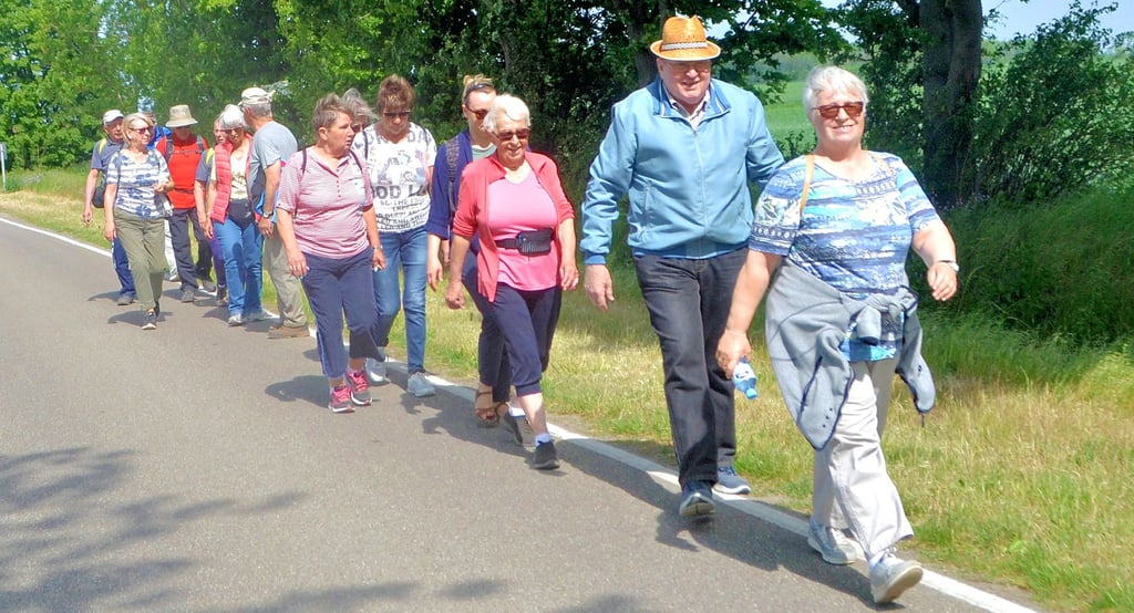 Im Gänsemarsch in die Natur: Die zwei Wandergruppen des TSV machen einen gemeinsamen Ausflug zum Floßgraben bei Kötzschau.