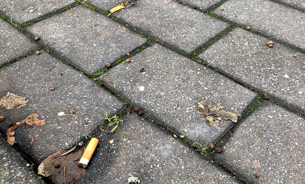 Für Zigarettenkippen wie diese hat die Stadt Knöllchen verteilt - aber nicht an die Verursacher.