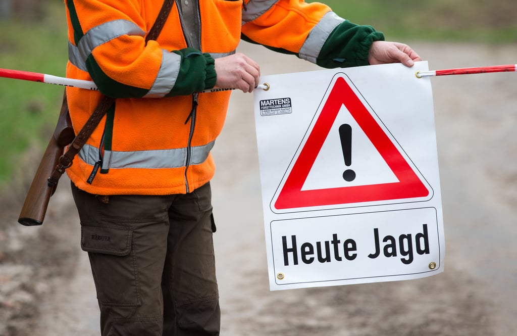 Die altmärkischen Jäger bemerken einen Rückgang des Damwildes.