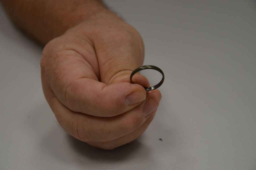 Dieser Ring wurde im ehemaligen Naherholungszentrum Packebusch gefunden. Nun erhielt ihn die Besitzerin zurück.