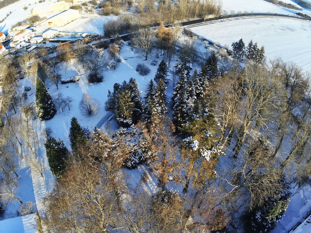 Die künftige Pflege des Arboretums ist noch ungeklärt.