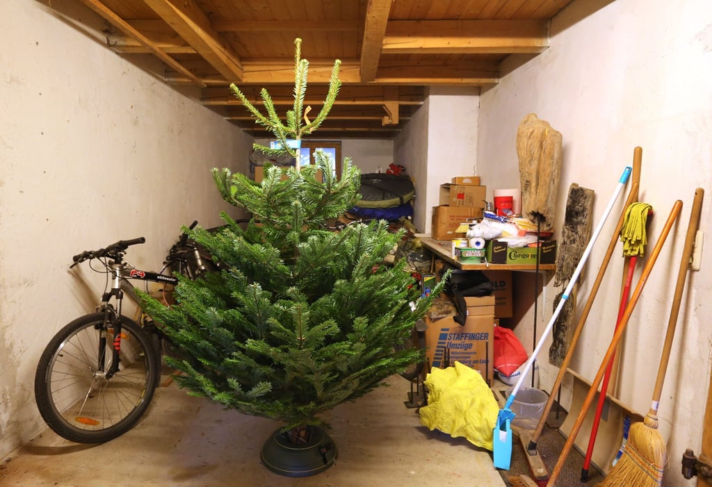Frostige Temperaturen: Im Keller lässt sich der Weihnachtsbaum gut lagern.