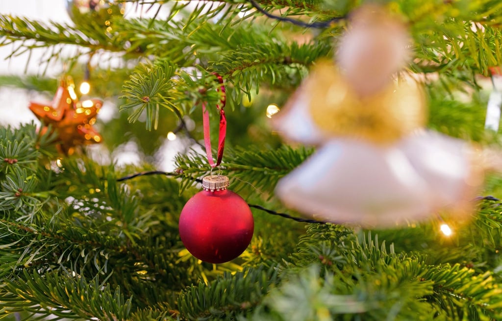 Früher wurden unterm Weihnachtsbaum Lieder wie „O Tannenbaum“ angestimmt. Heute sind nach Beobachtung eines Experten eher moderne Weihnachtssongs zu hören.