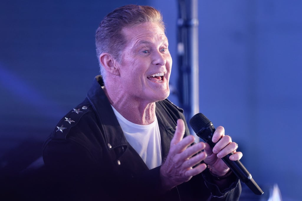 US-Schauspieler und Sänger David Hasselhoff kommt für eine Tournee nach Deutschland.