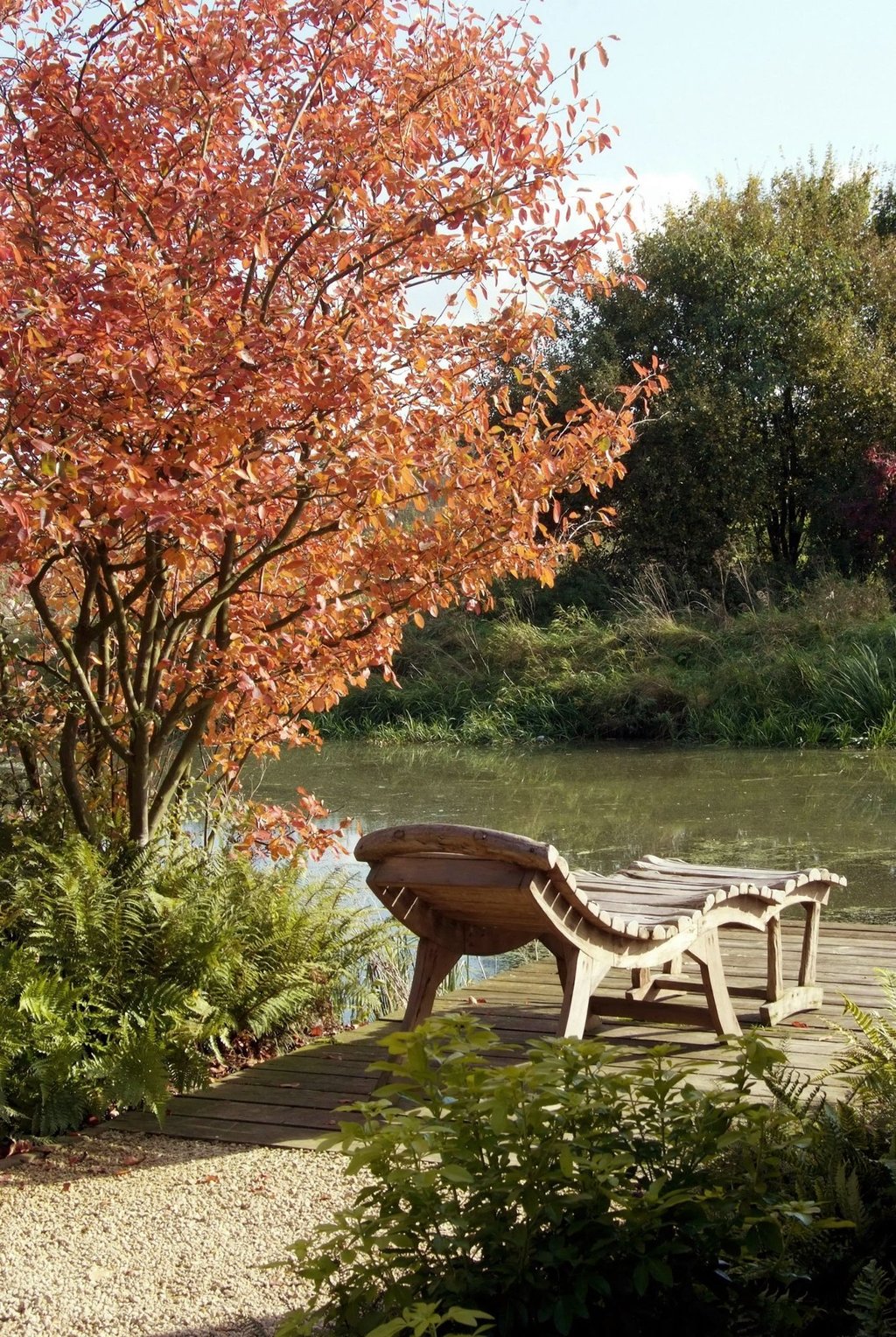 Die Kupfer-Felsenbirne bringt das herbstliche Farbspiel auch in den eigenen Garten.